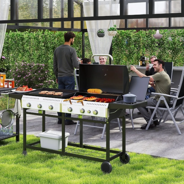 Barbecue à gaz Deluxe Duo